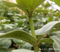 s15全球总决赛-php垏埇垬件的扩埉埀埆常使埈